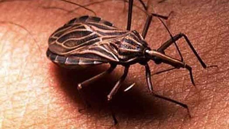 Tripanosoma