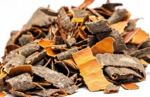 birch bark against worms